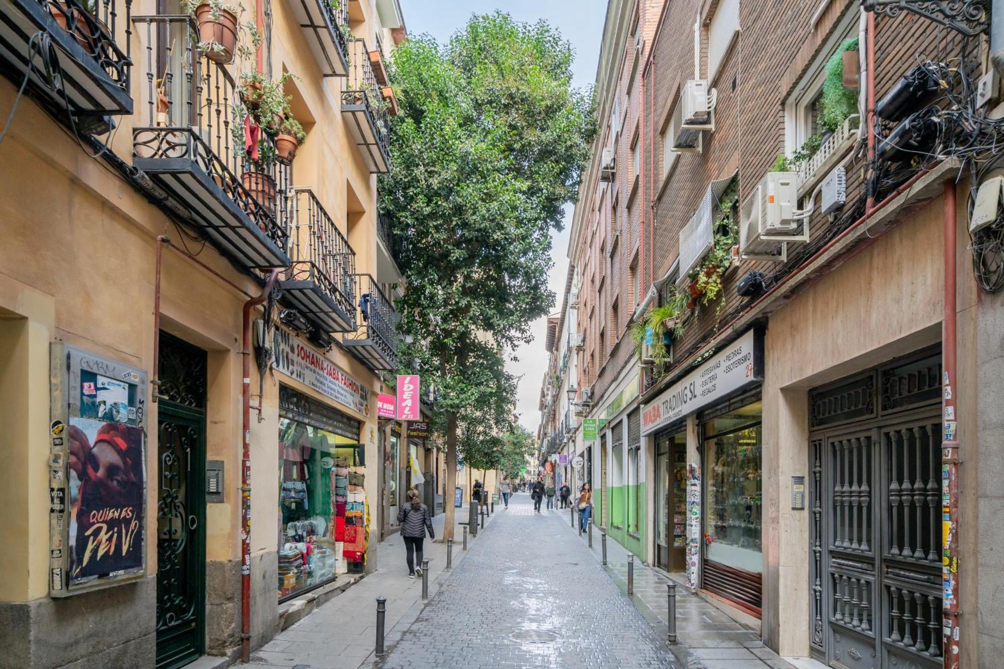 Appartement Grande En Lavapies Alquiler Temporal